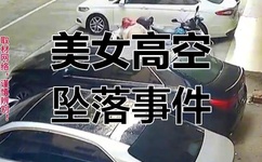 欲望格斗2去马赛克补丁